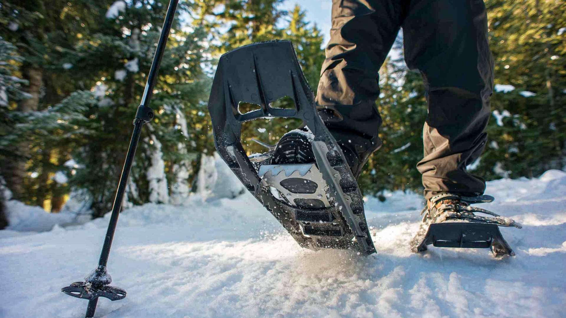 Snow shooing
